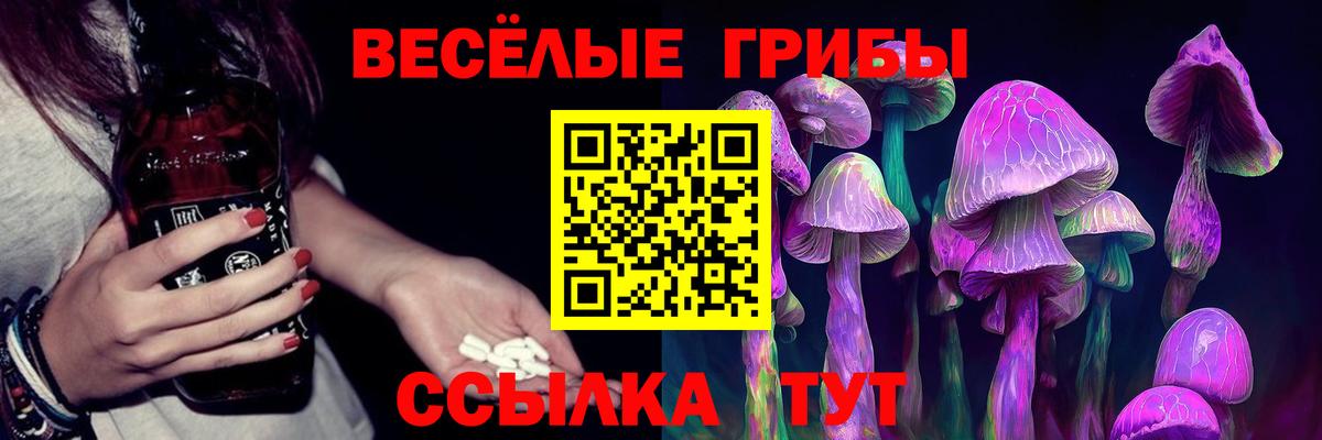 Галлюциногенные грибы Psilocybe  Вход с VPN  наркотики  Карпинск 